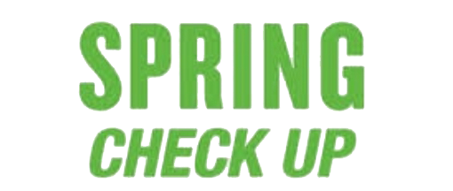 spring check up